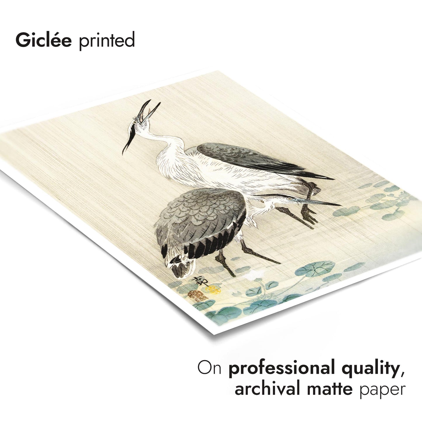 Two Herons in the Rain