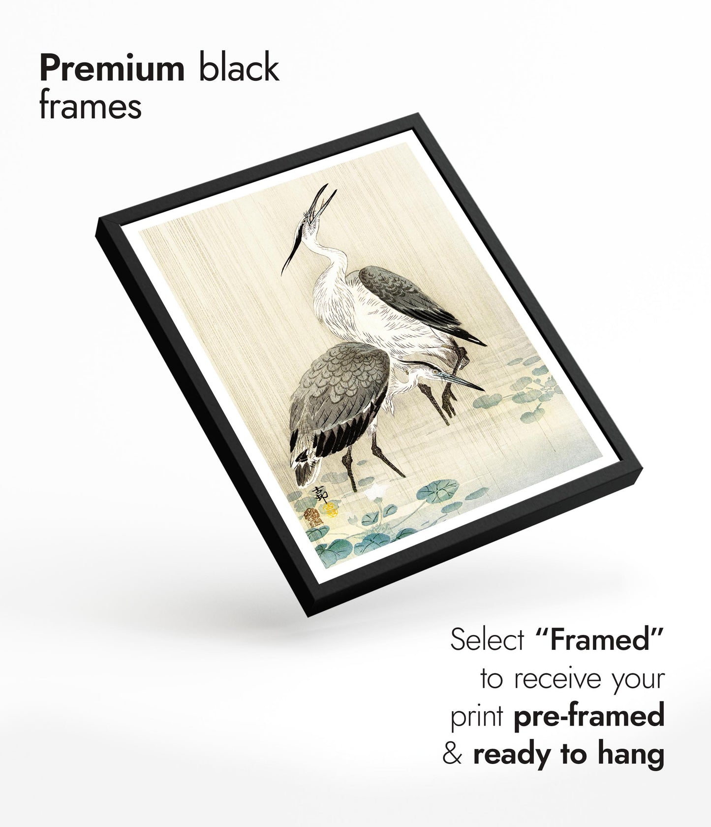 Two Herons in the Rain