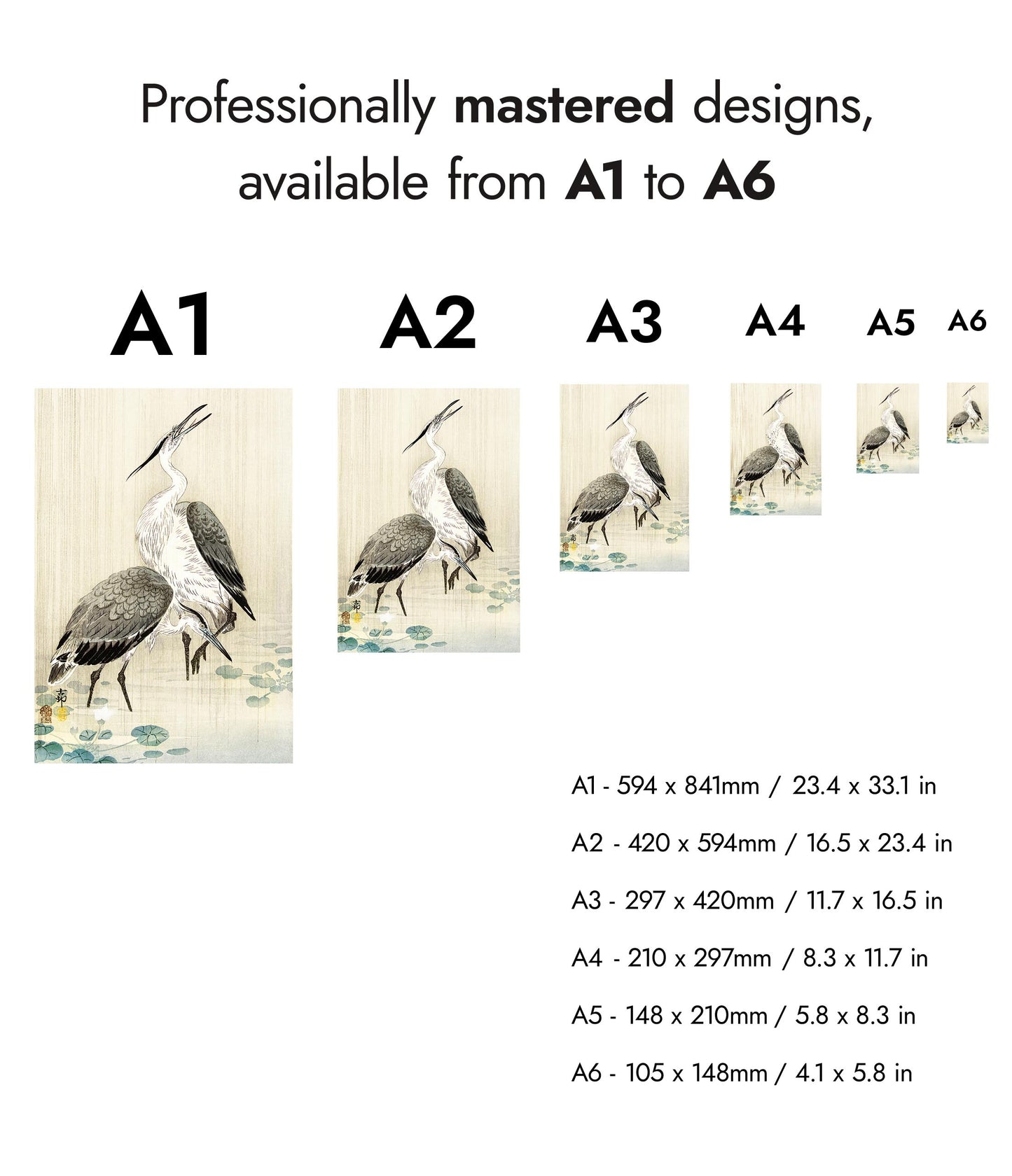 Two Herons in the Rain