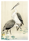 Two Herons in the Rain print
