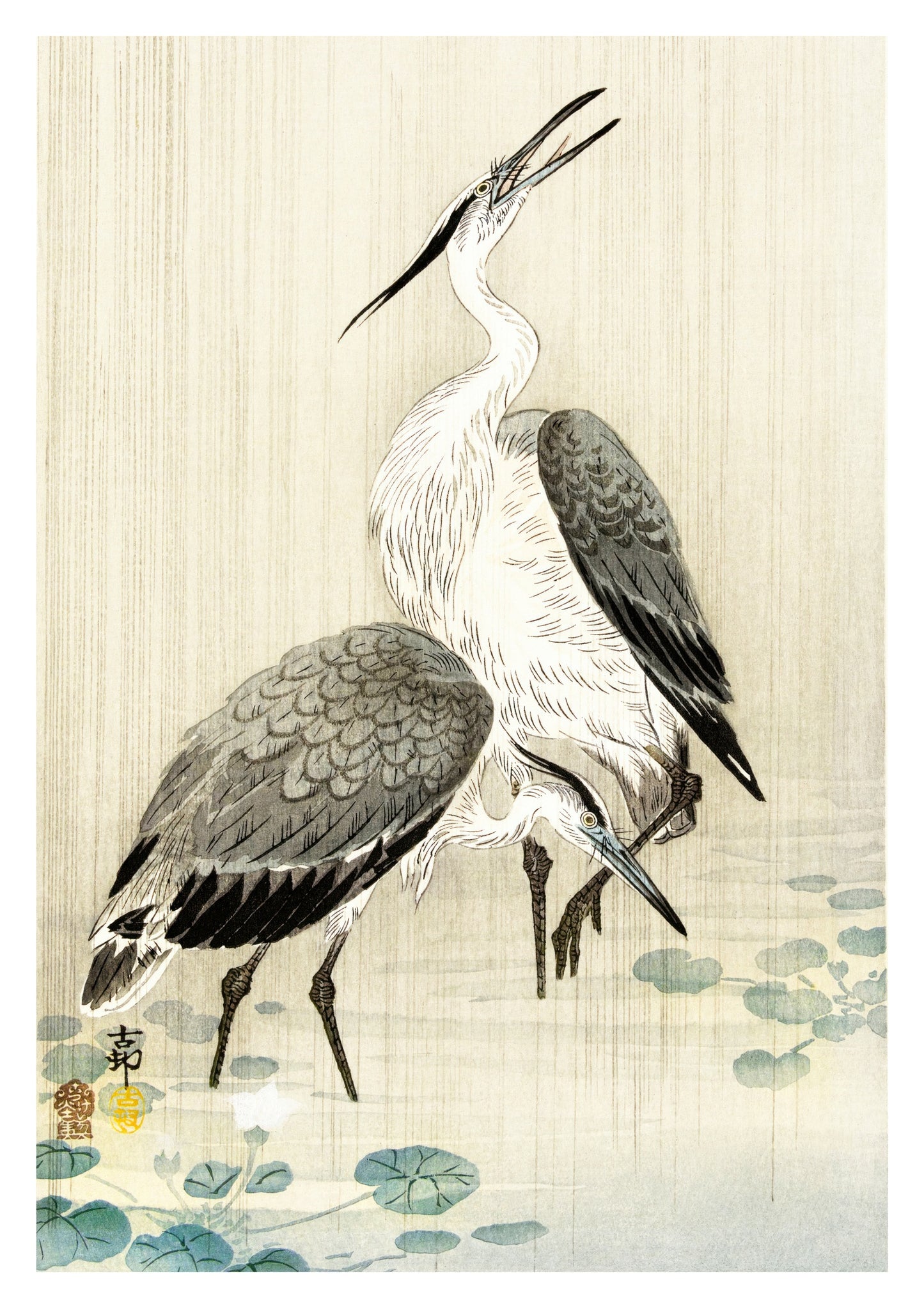 Two Herons in the Rain