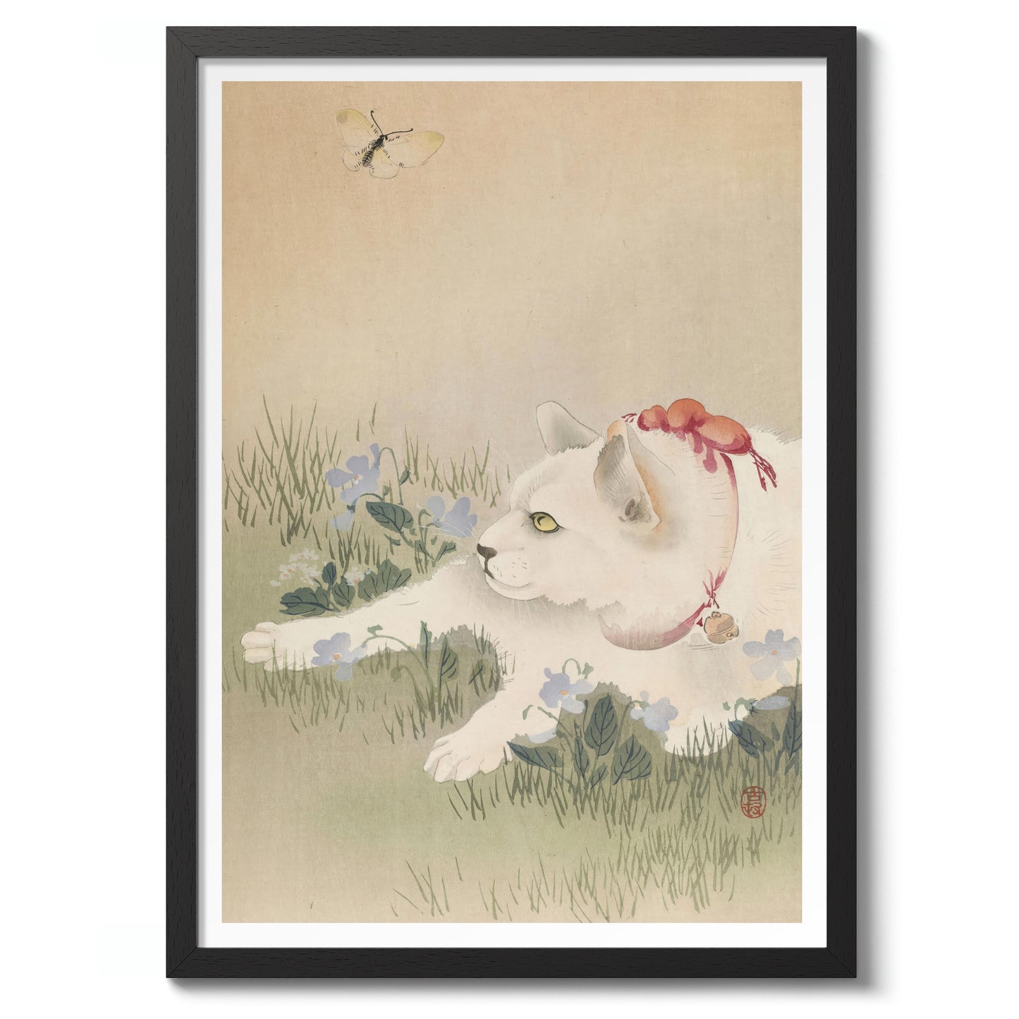 Katze & Schmetterling