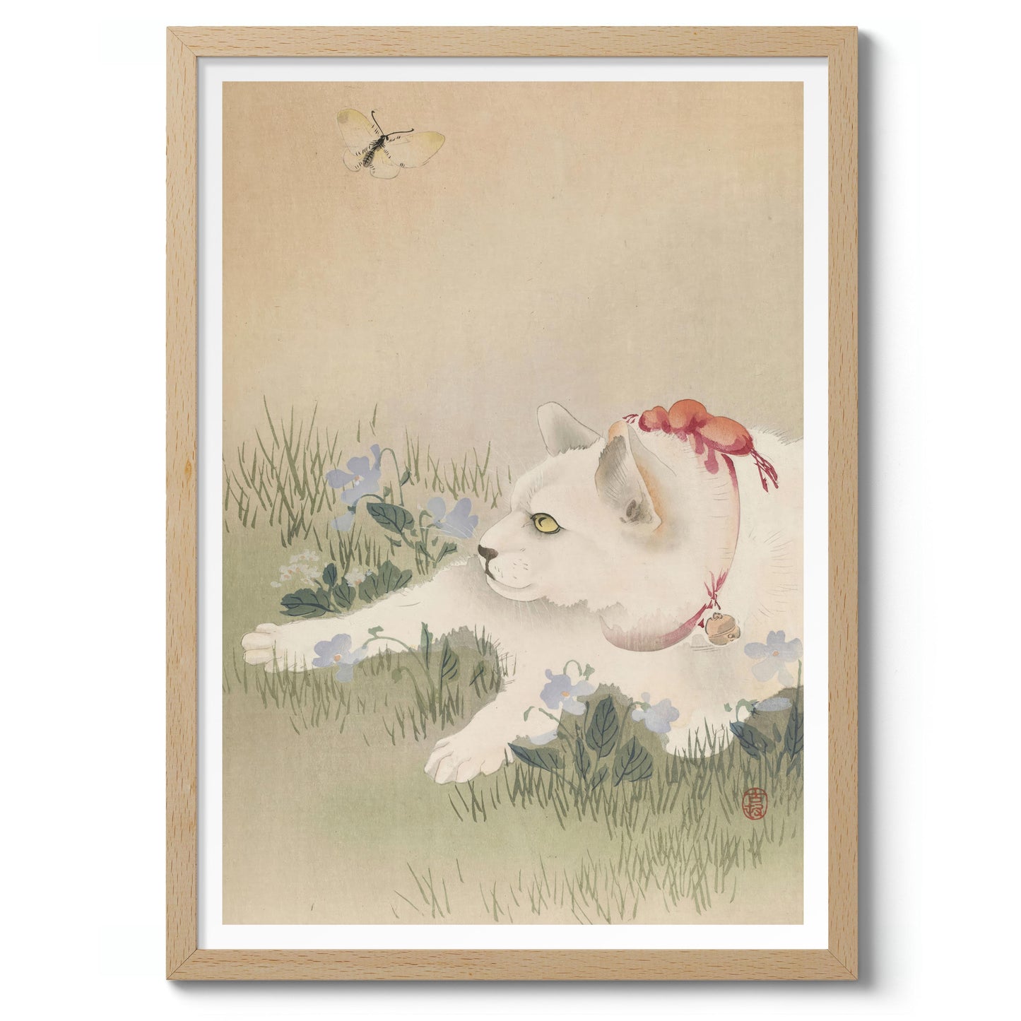 Katze & Schmetterling