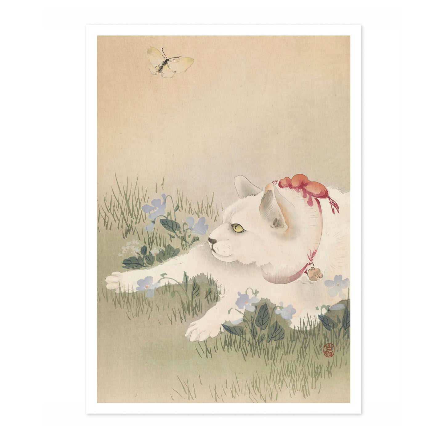 Katze & Schmetterling