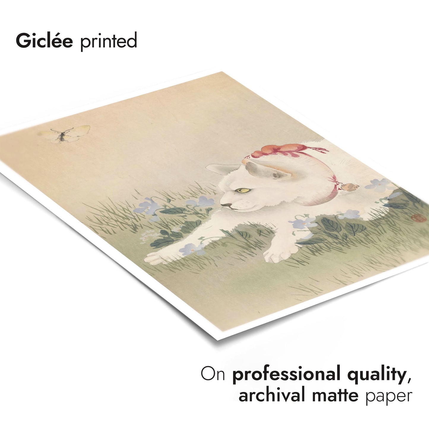 Katze & Schmetterling