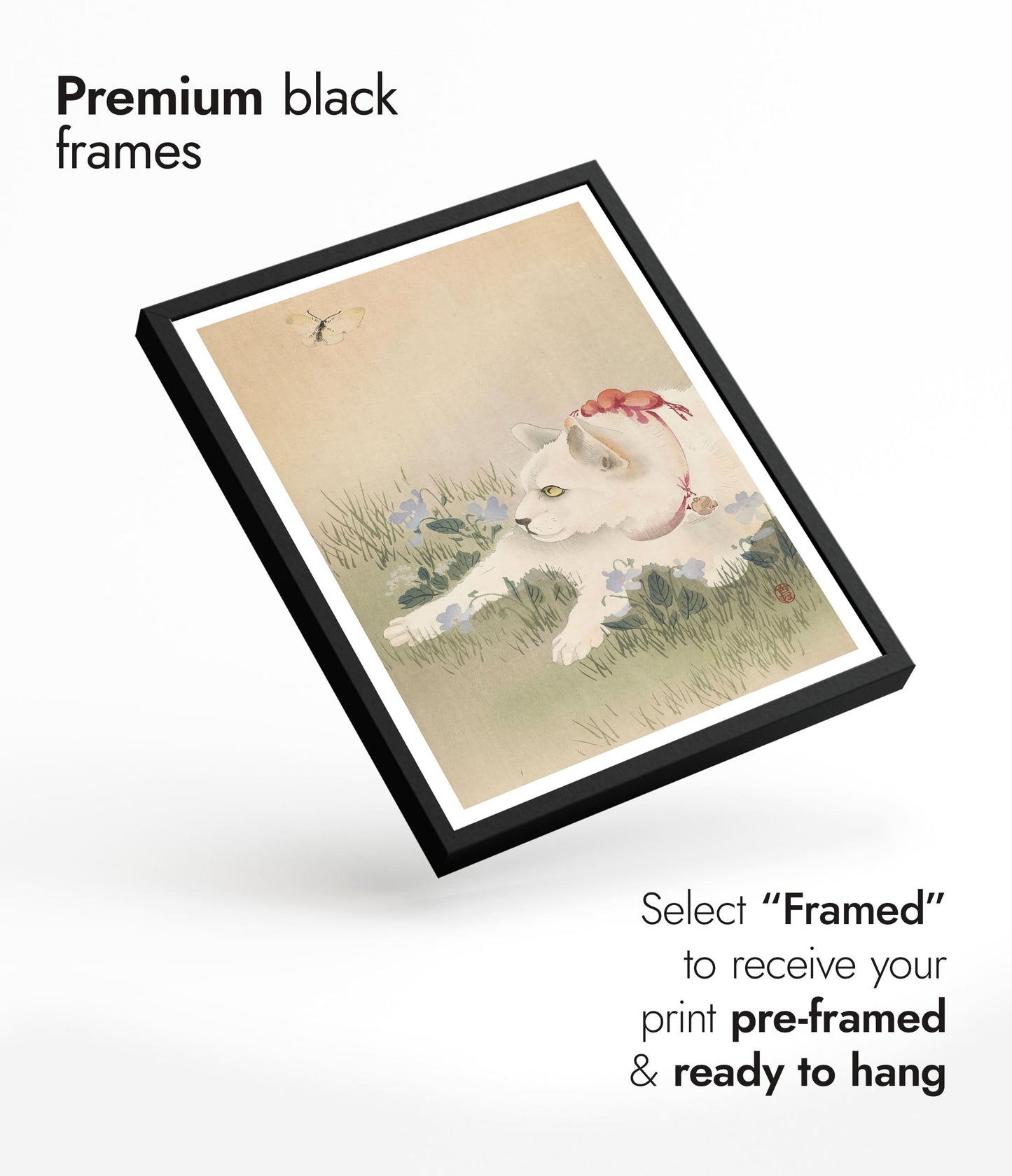 Katze & Schmetterling