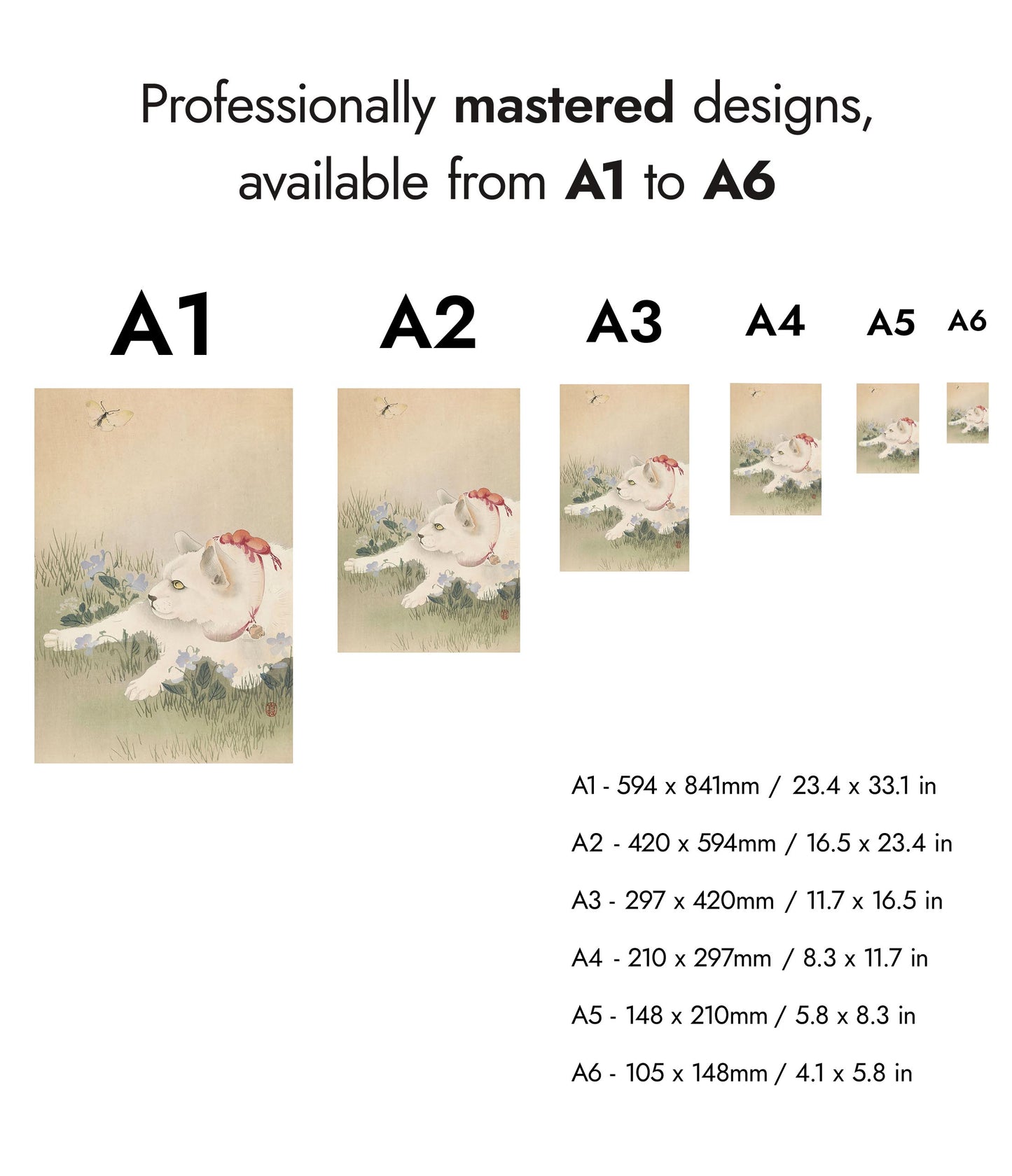 Katze & Schmetterling