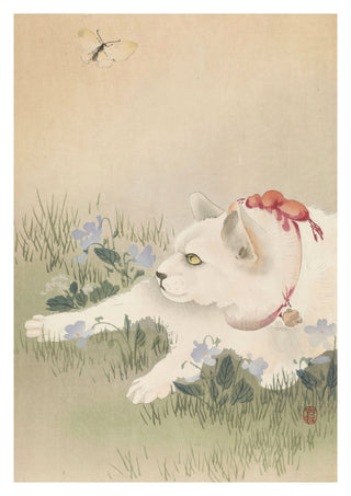 Katze & Schmetterling print