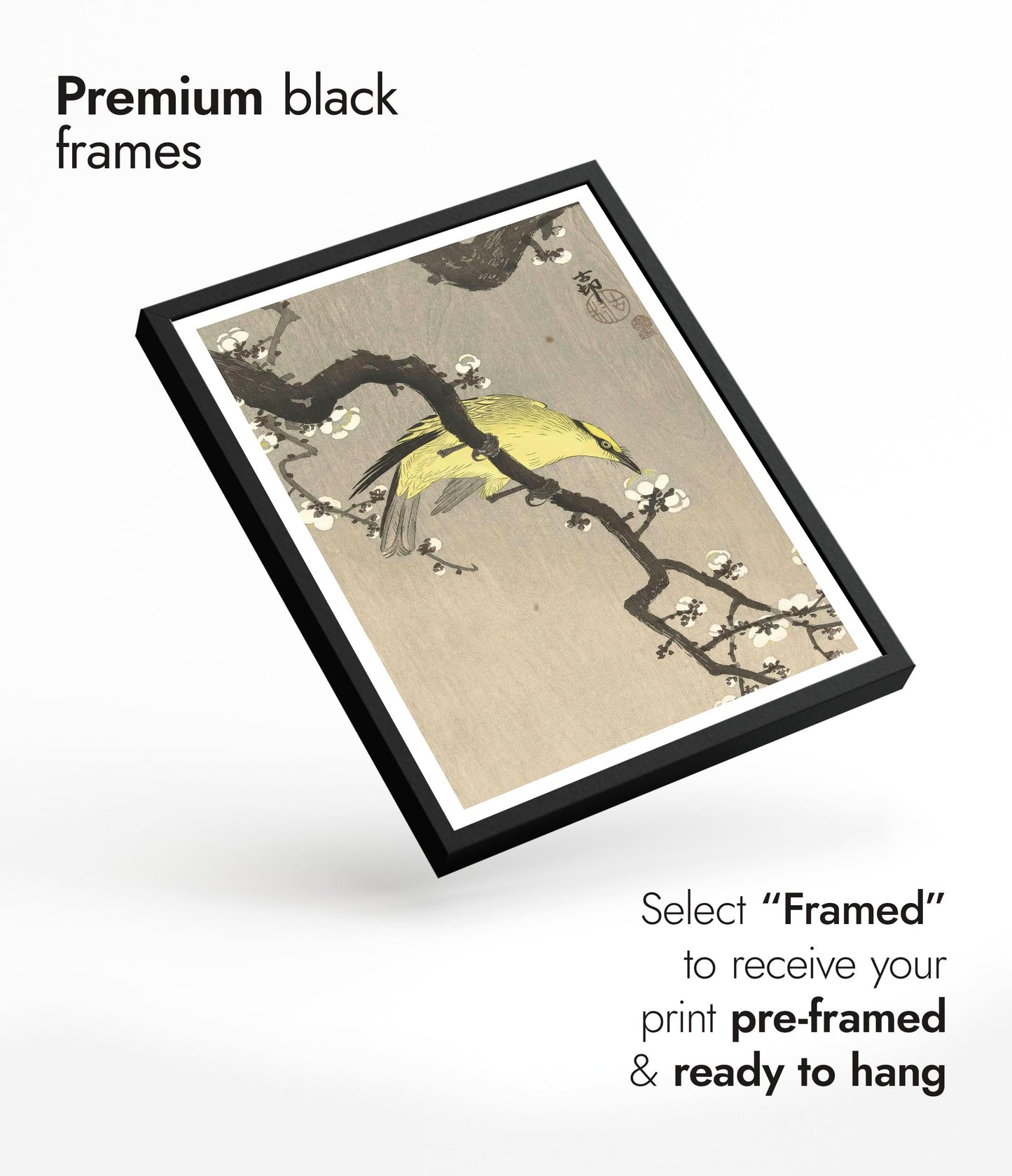 Chinese Oriole on Plum Blossom Branch