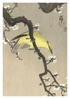 Chinese Oriole on Plum Blossom Branch print