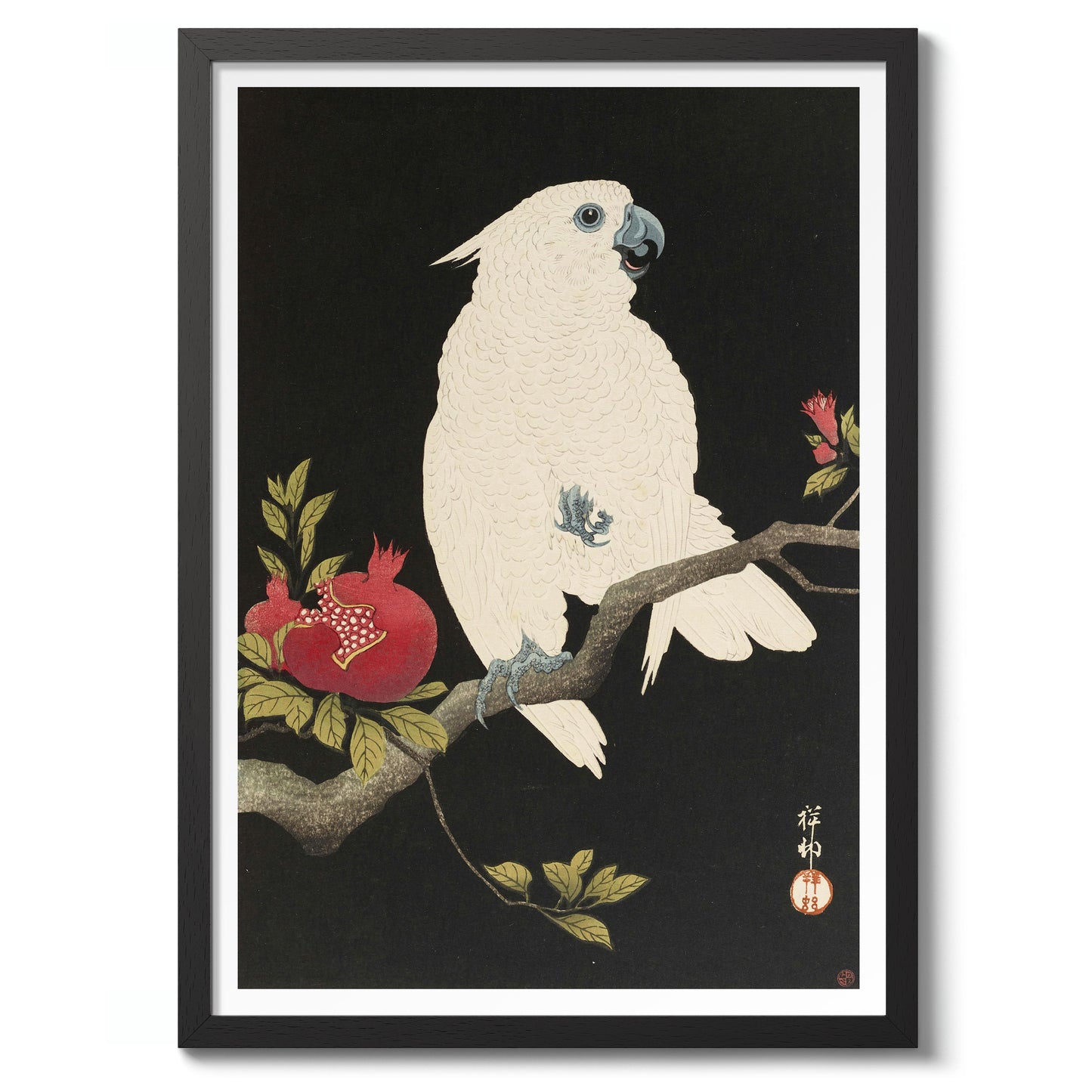 Cockatoo & Pomegranate