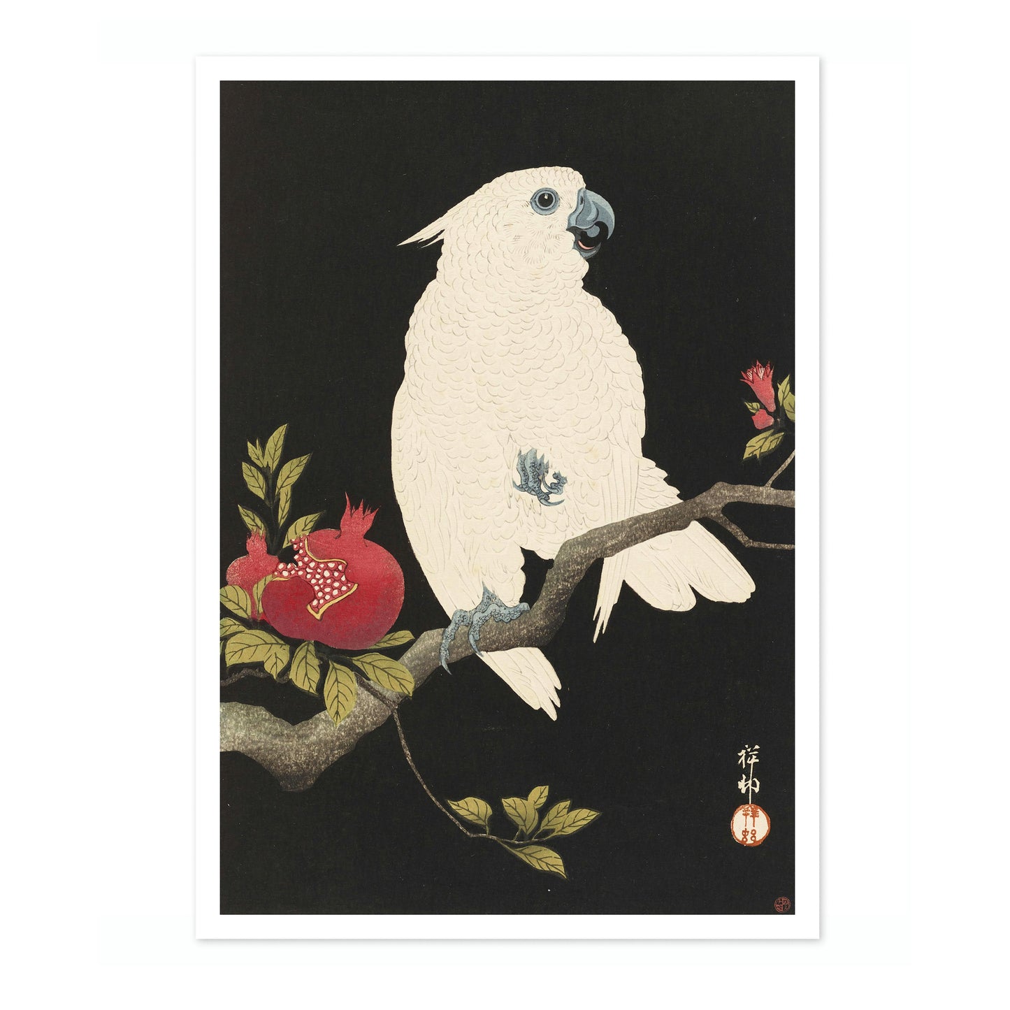 Cockatoo & Pomegranate