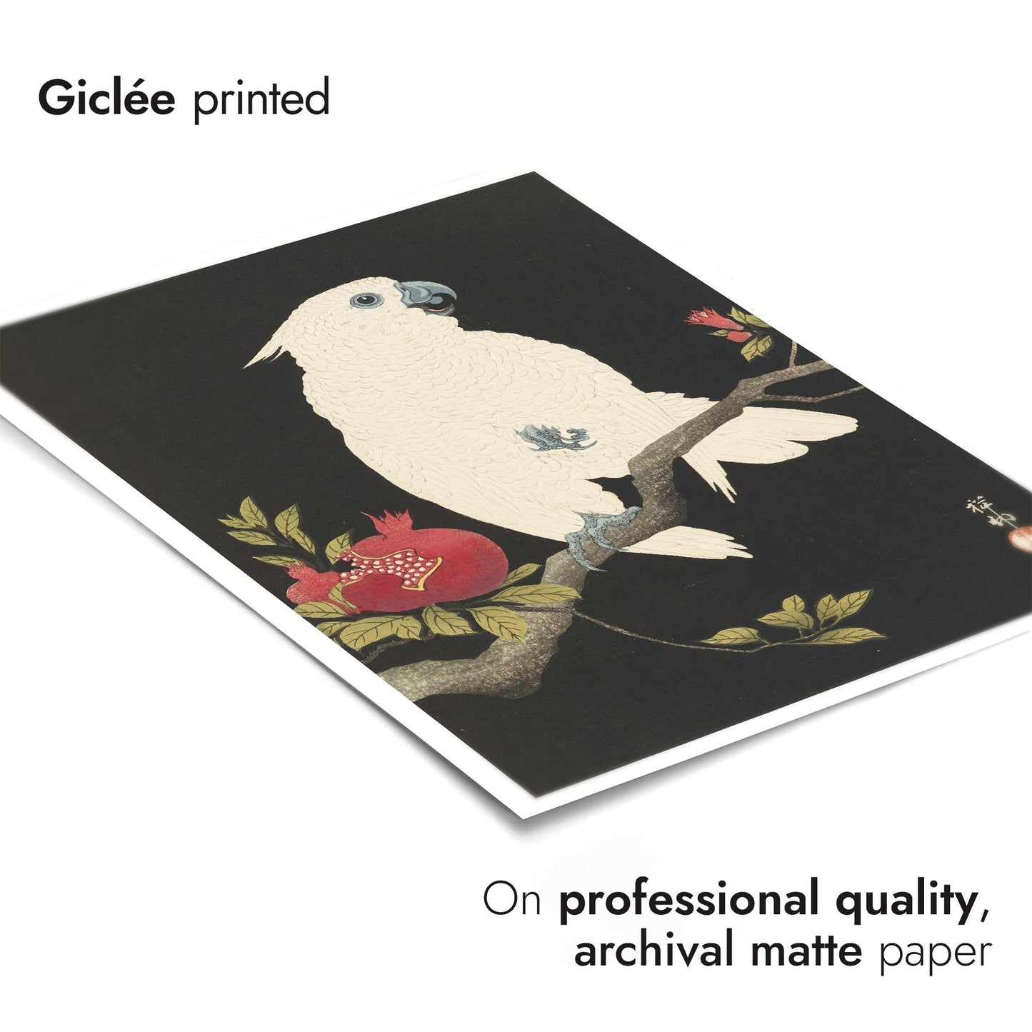 Cockatoo & Pomegranate