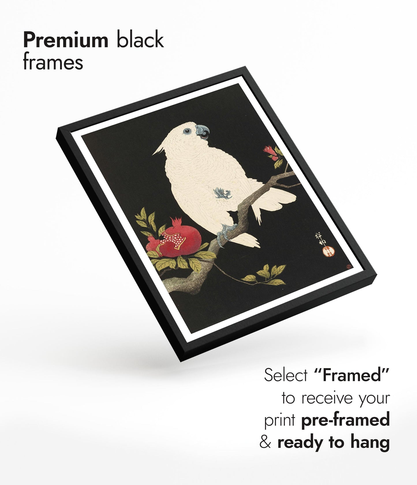 Cockatoo & Pomegranate