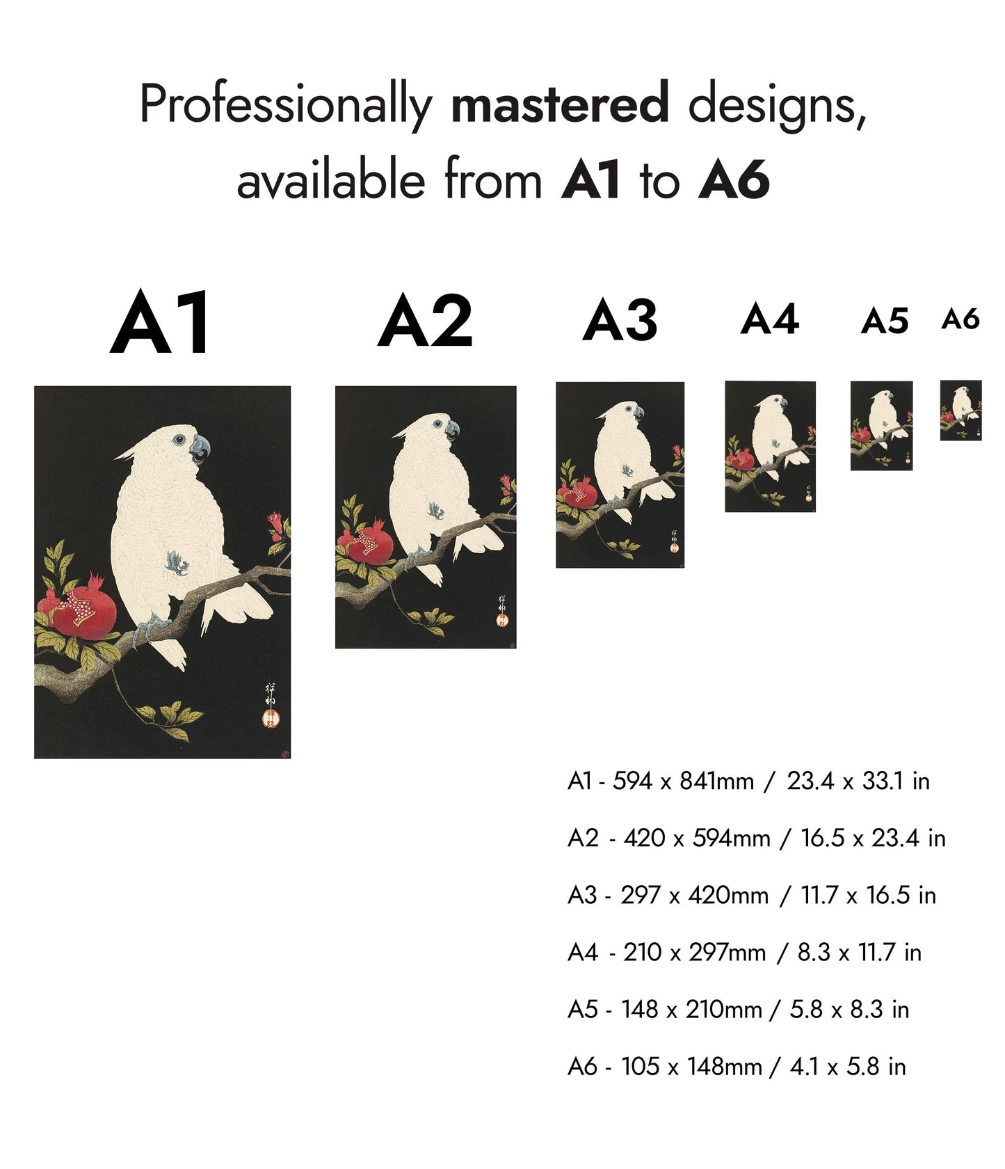 Cockatoo & Pomegranate