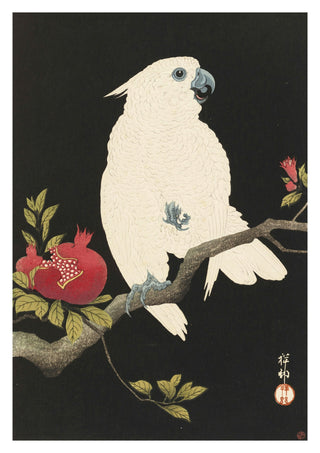 Cockatoo & Pomegranate print