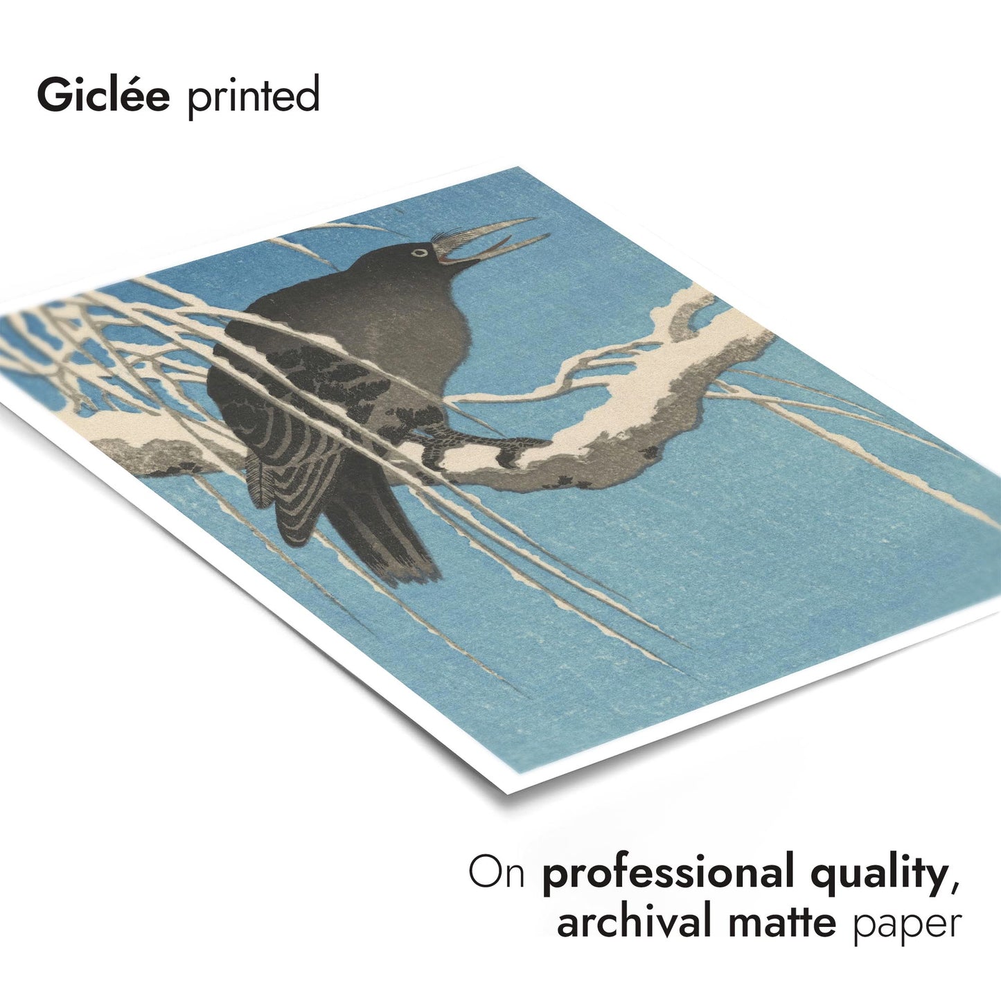 Crow on a Snowy Branch