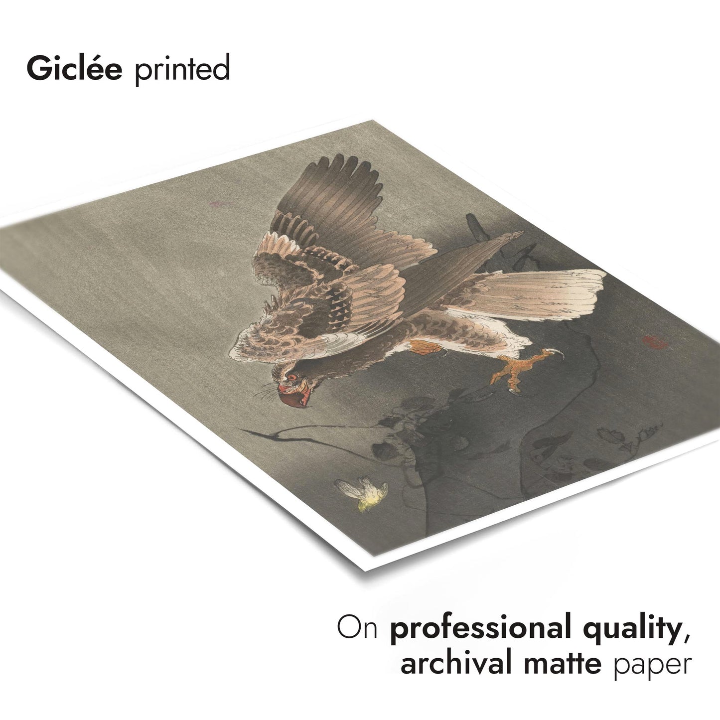 Eagle with Outspread Wings