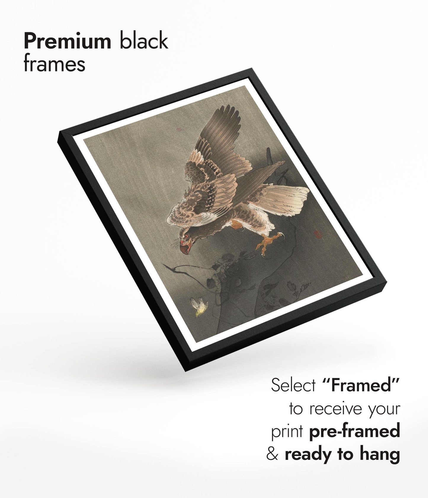 Eagle with Outspread Wings