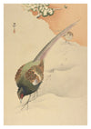 Two Pheasants in Snow print