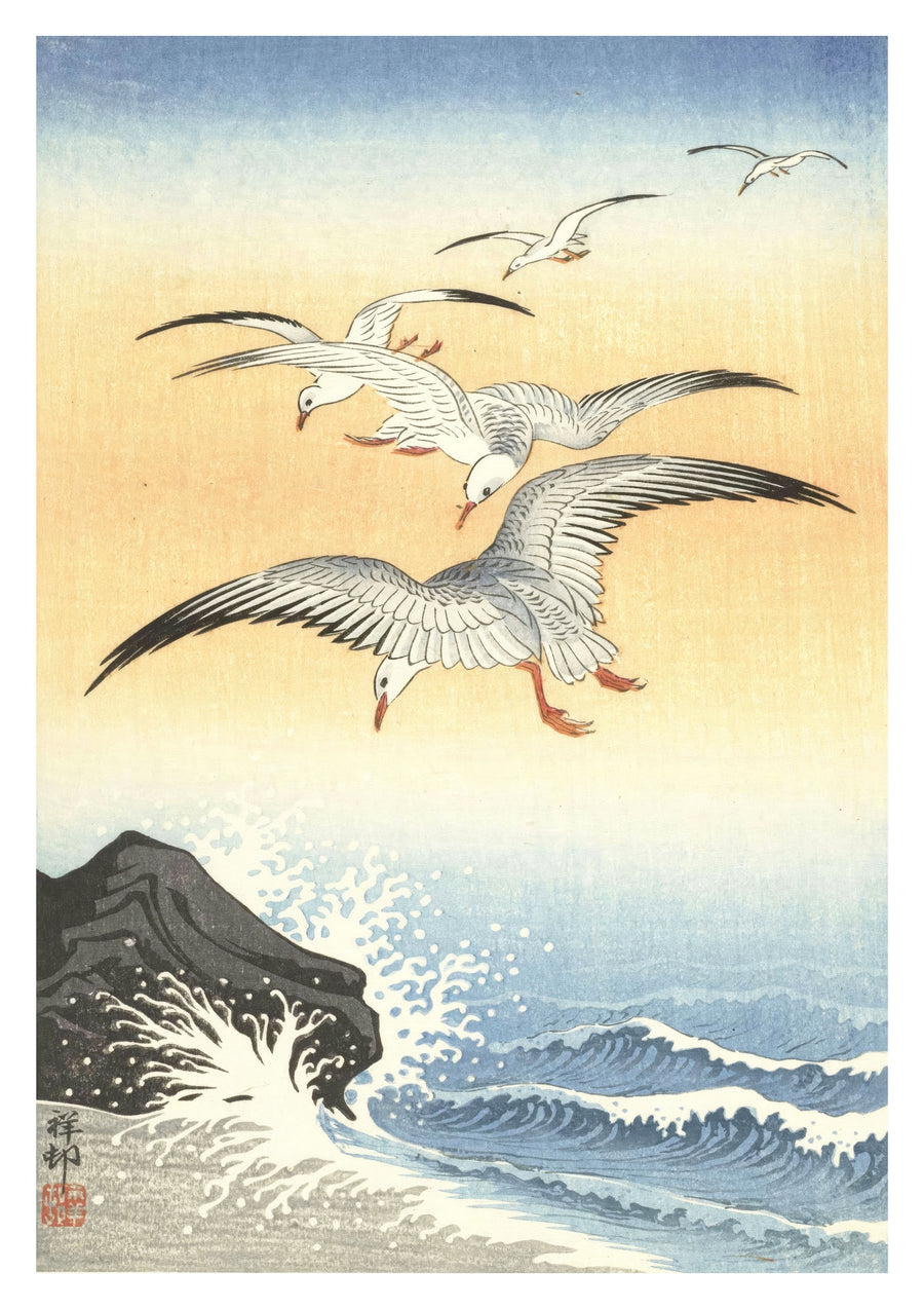 Cinq mouettes au-dessus d'une mer agitée - Print Only frame