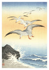 Five Seagulls Above a Stormy Sea print