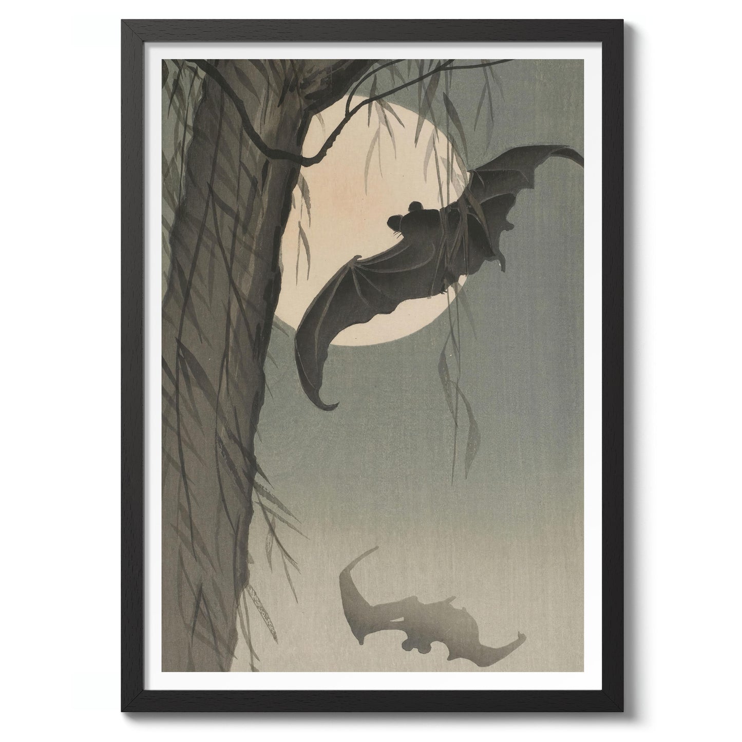 Chauves-souris & Pleine Lune