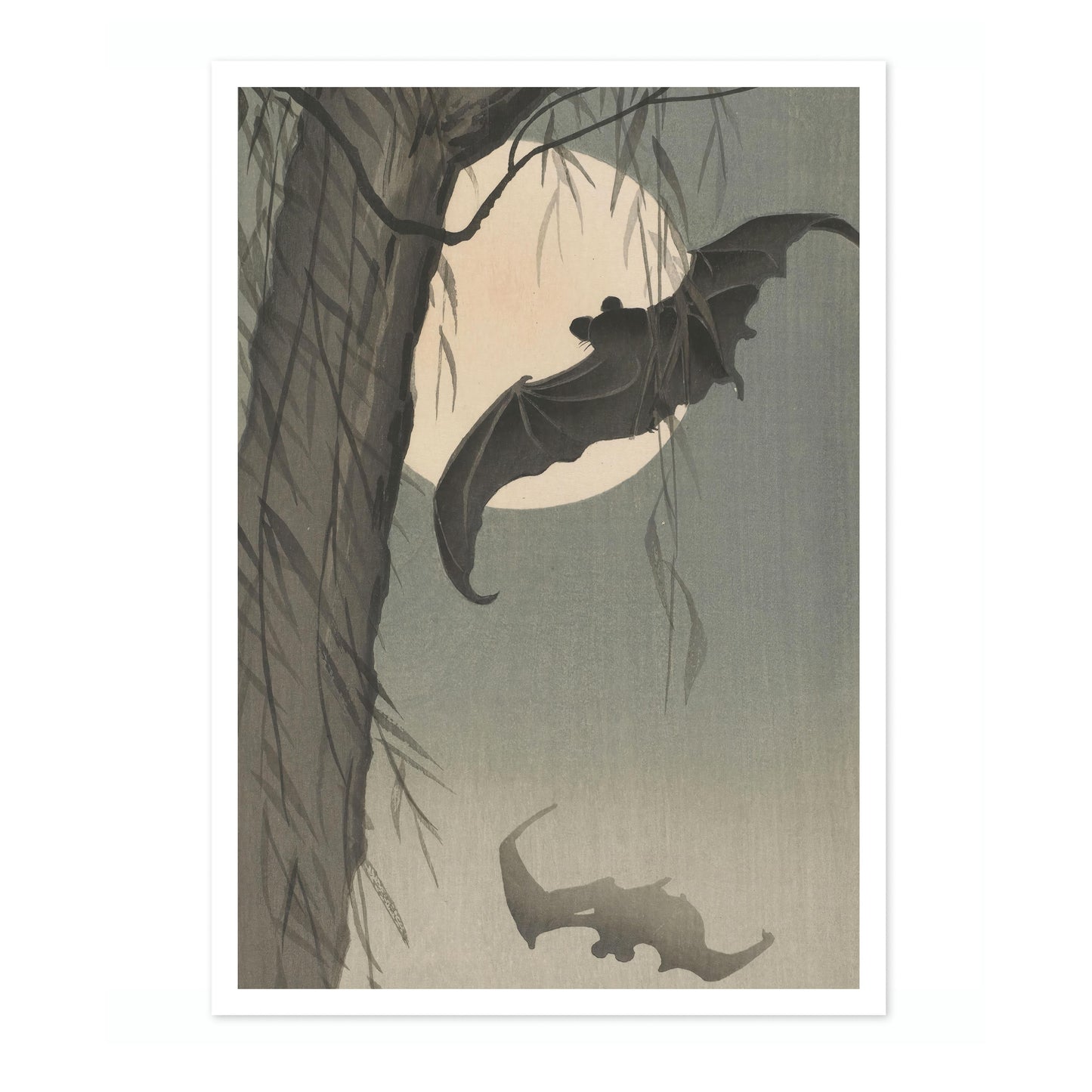 Chauves-souris & Pleine Lune