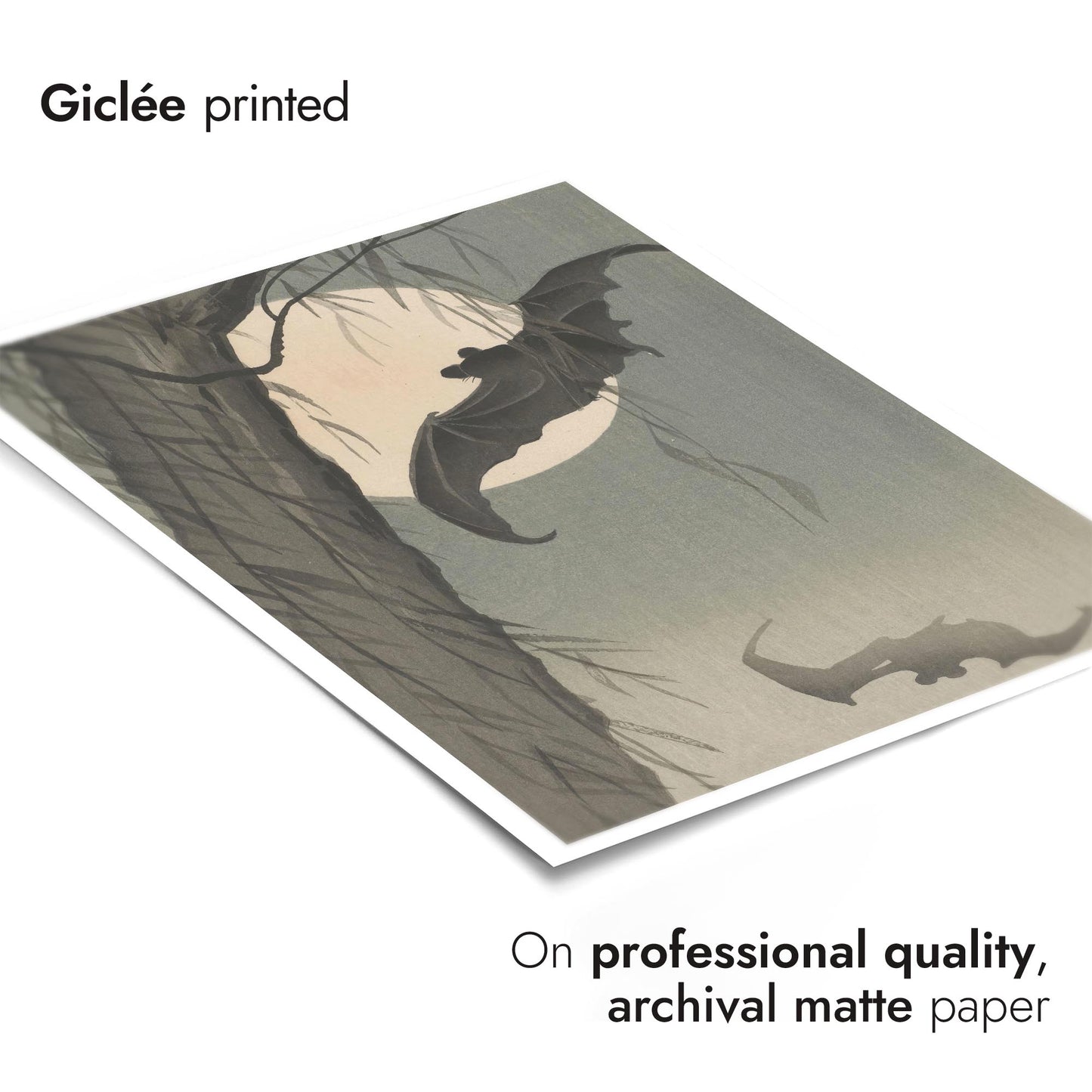 Chauves-souris & Pleine Lune