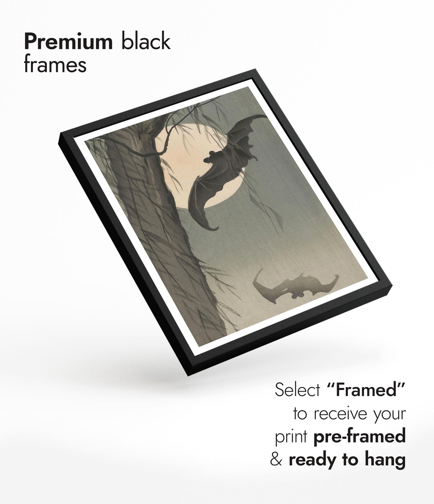 Chauves-souris & Pleine Lune