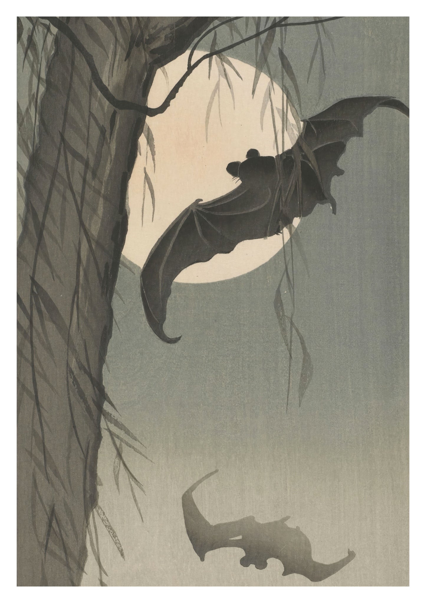 Chauves-souris & Pleine Lune