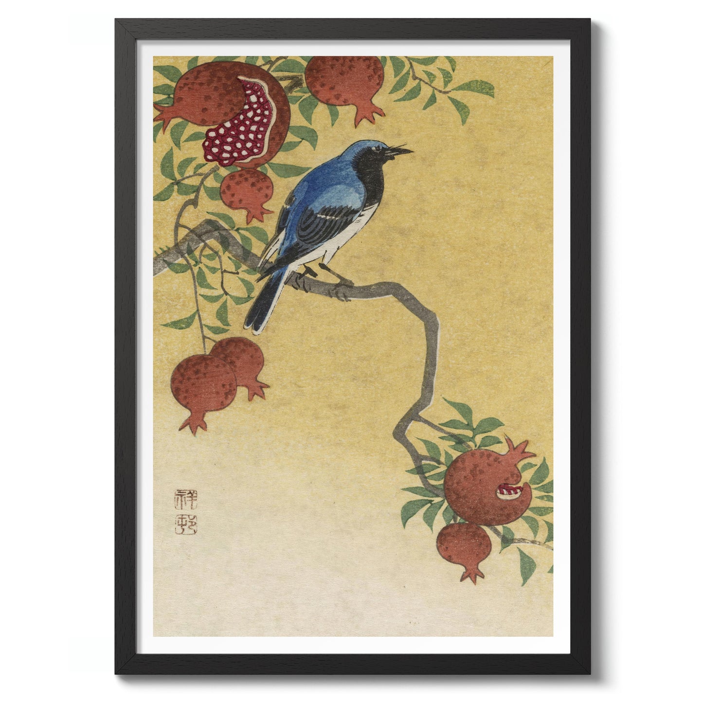 Blå Robin som sitter på ett granatäppelträd