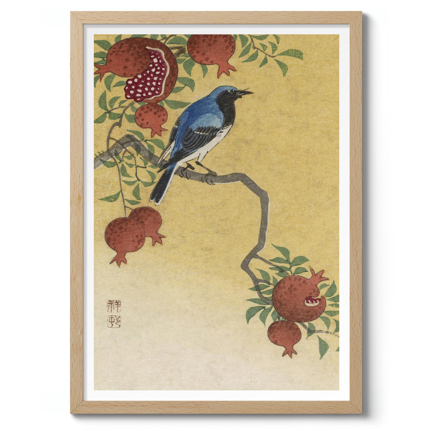 Blå Robin som sitter på ett granatäppelträd