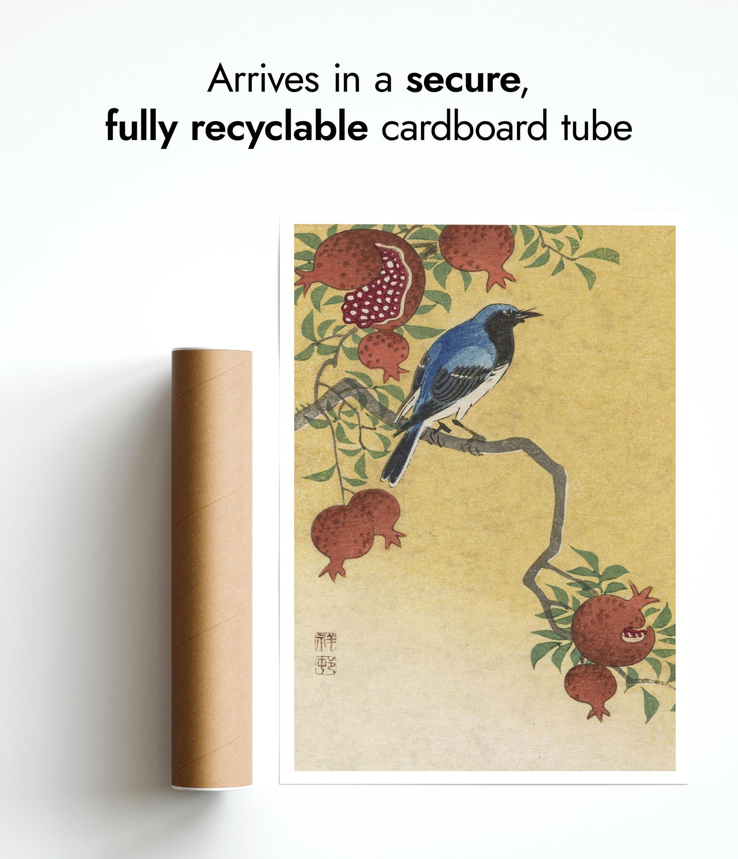 Blå Robin som sitter på ett granatäppelträd