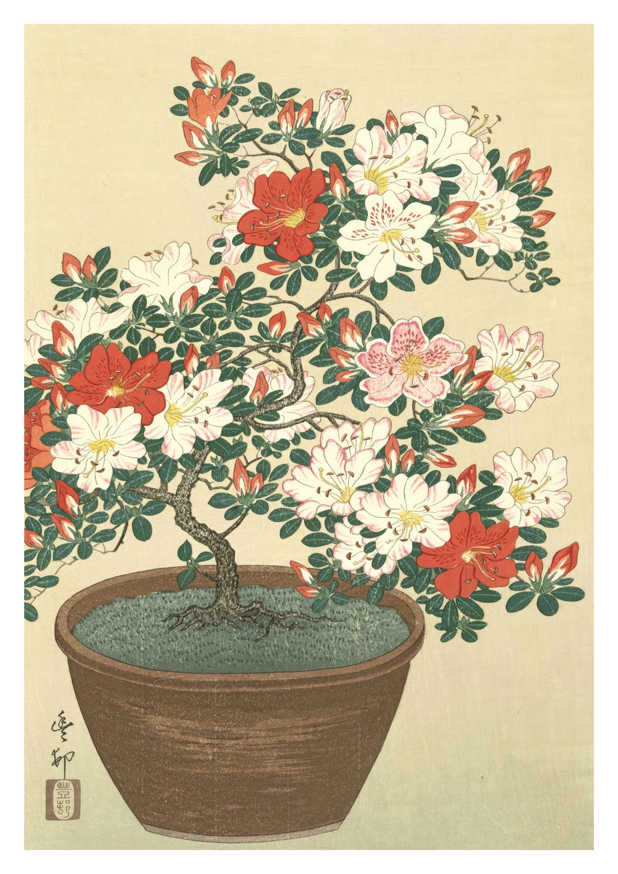 Blommande azalea i brunt kruka - Print Only frame