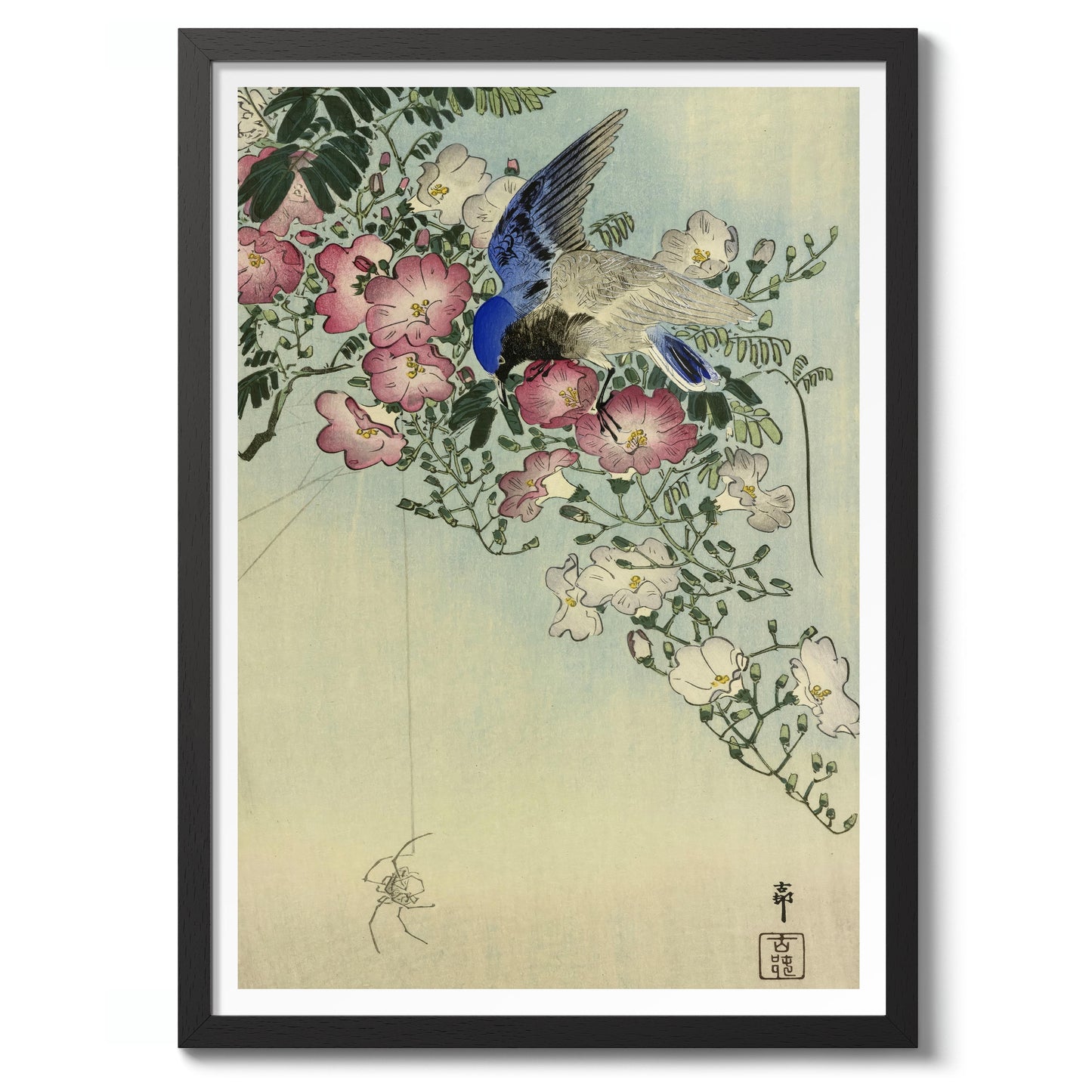 Oiseau perché sur une plante fleurie, observant une araignée