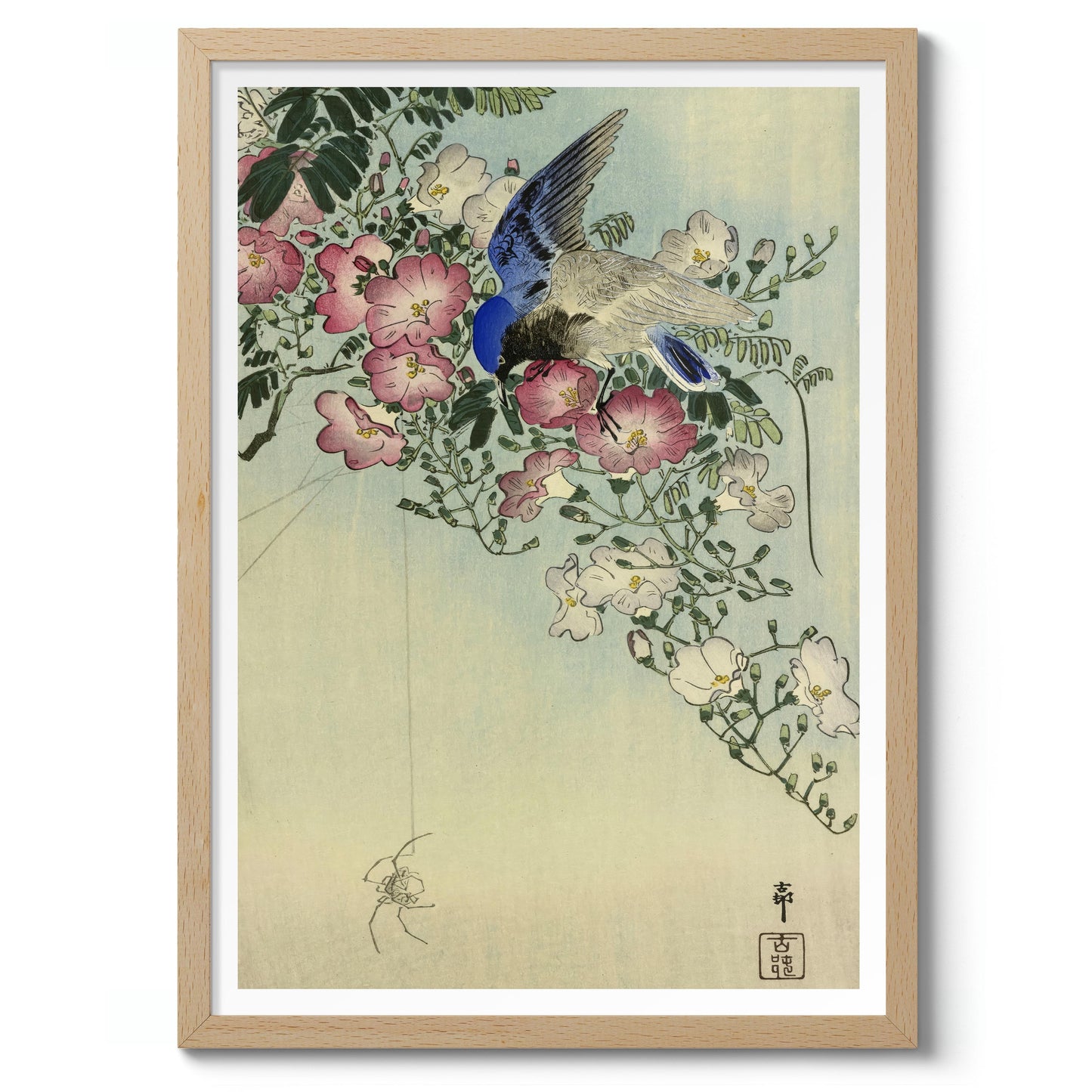 Oiseau perché sur une plante fleurie, observant une araignée