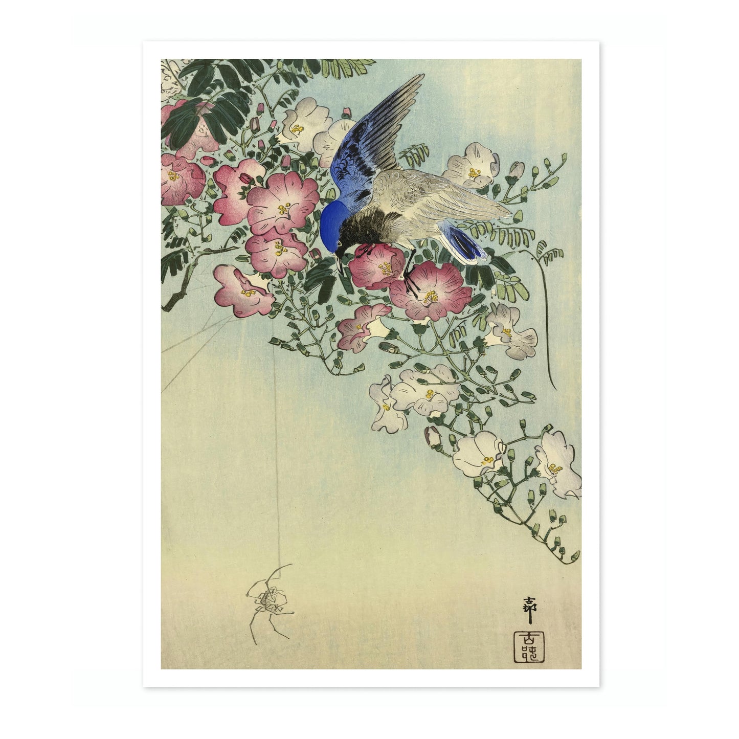 Oiseau perché sur une plante fleurie, observant une araignée