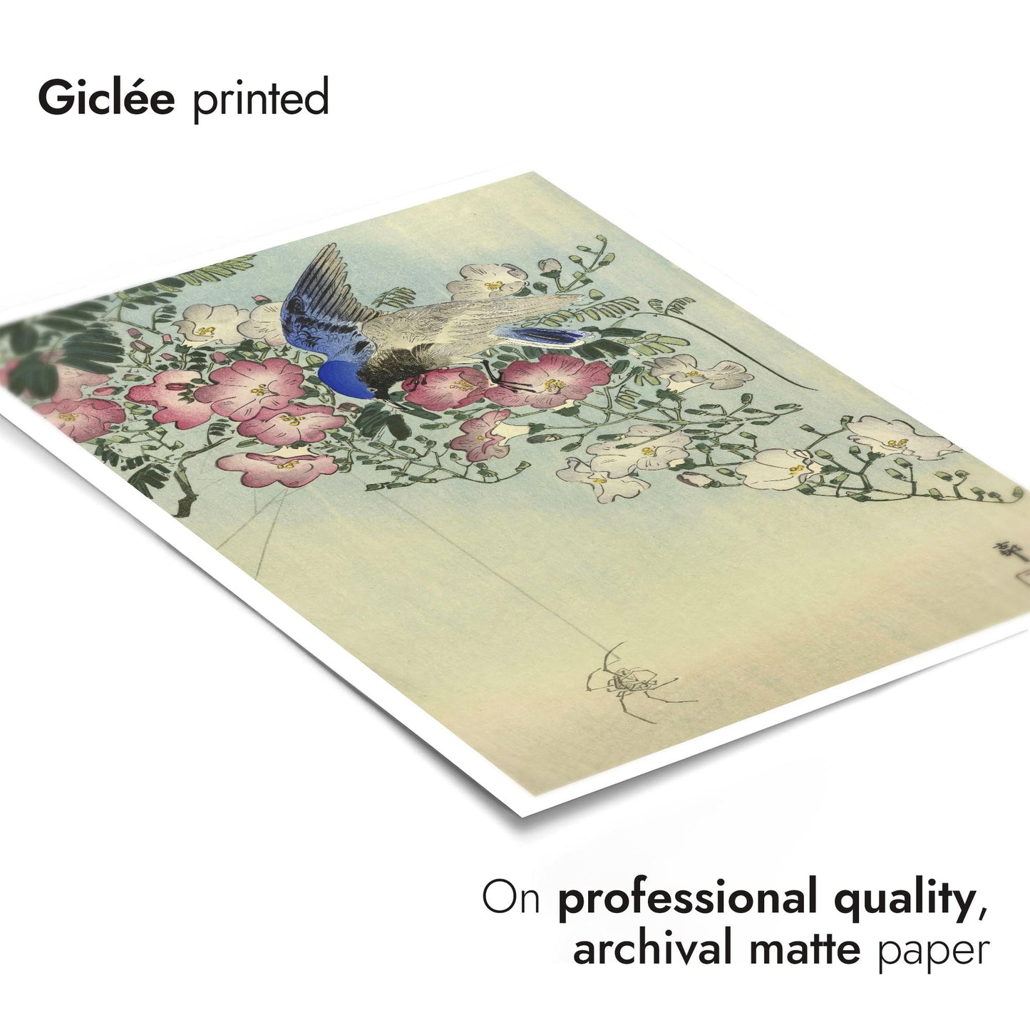 Oiseau perché sur une plante fleurie, observant une araignée