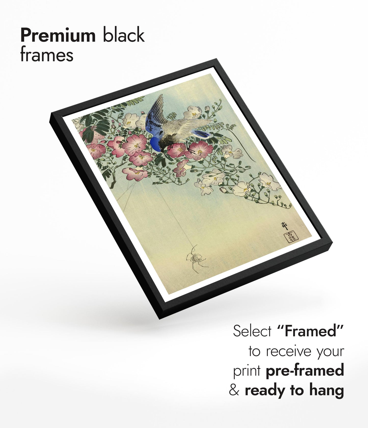 Oiseau perché sur une plante fleurie, observant une araignée