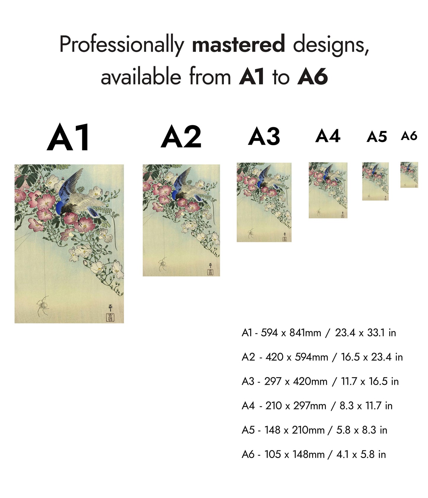 Oiseau perché sur une plante fleurie, observant une araignée