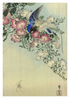 Oiseau perché sur une plante fleurie, observant une araignée print