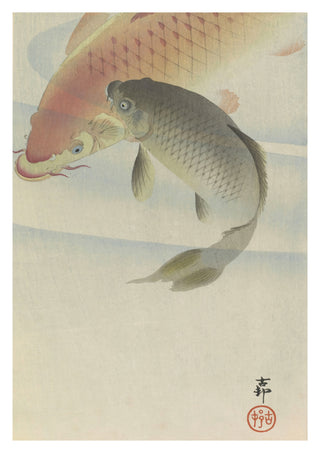 Carp print
