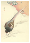 Pheasant Flock in the Snow print