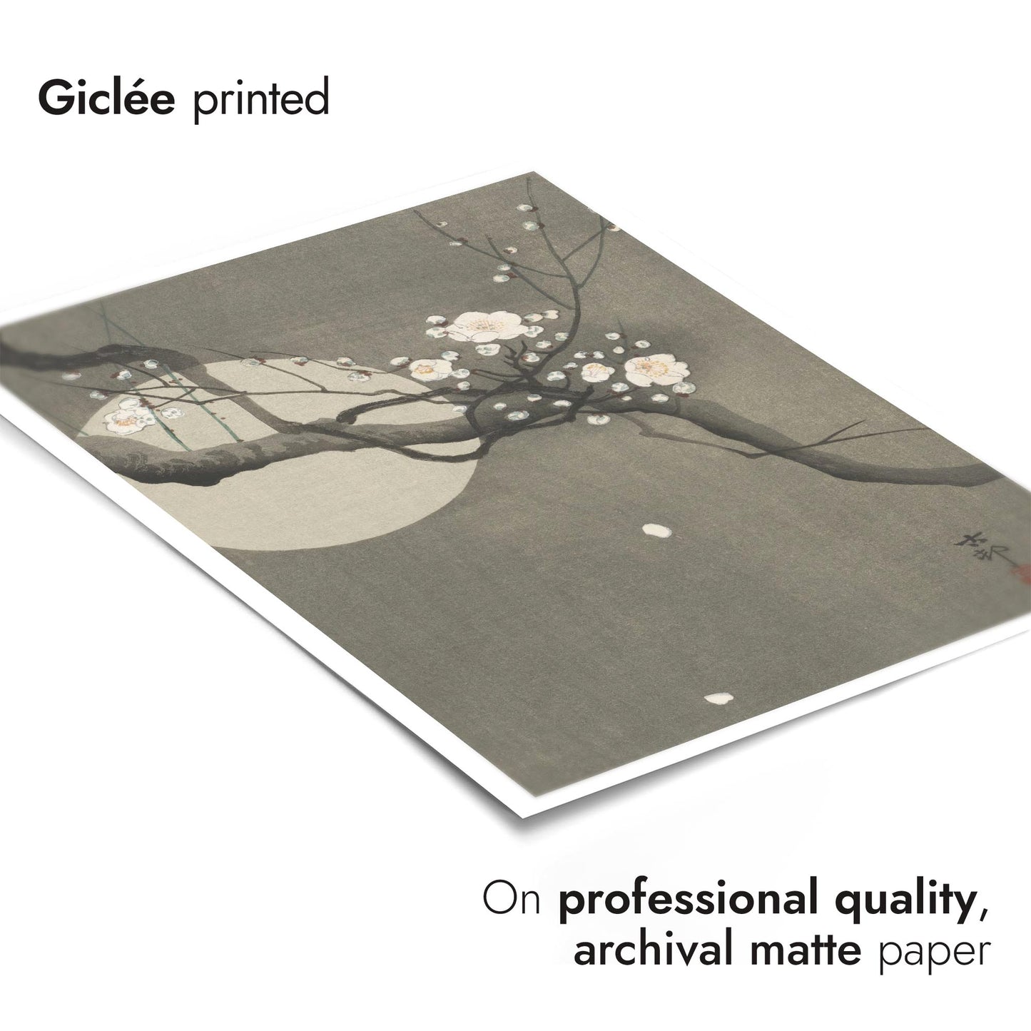 Flowering Plum & Moon