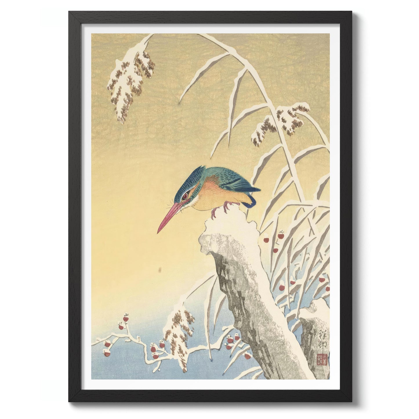 Kungsfiskare i snön