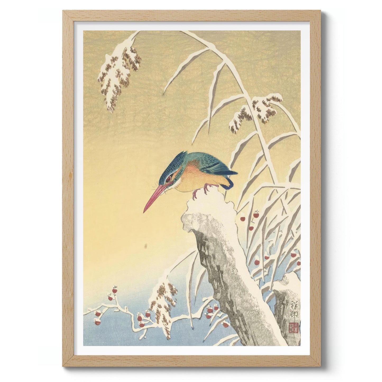 Kungsfiskare i snön