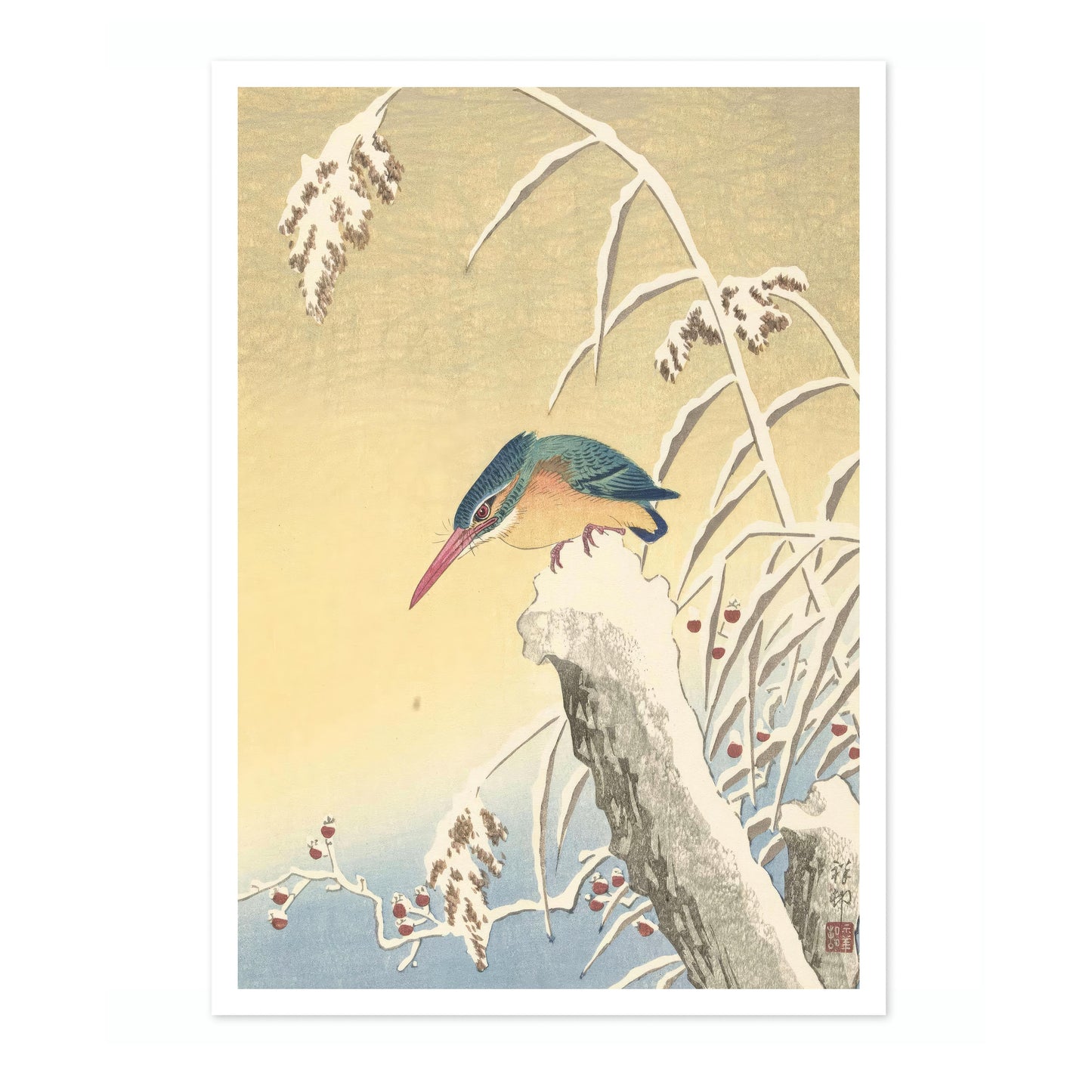 Kungsfiskare i snön