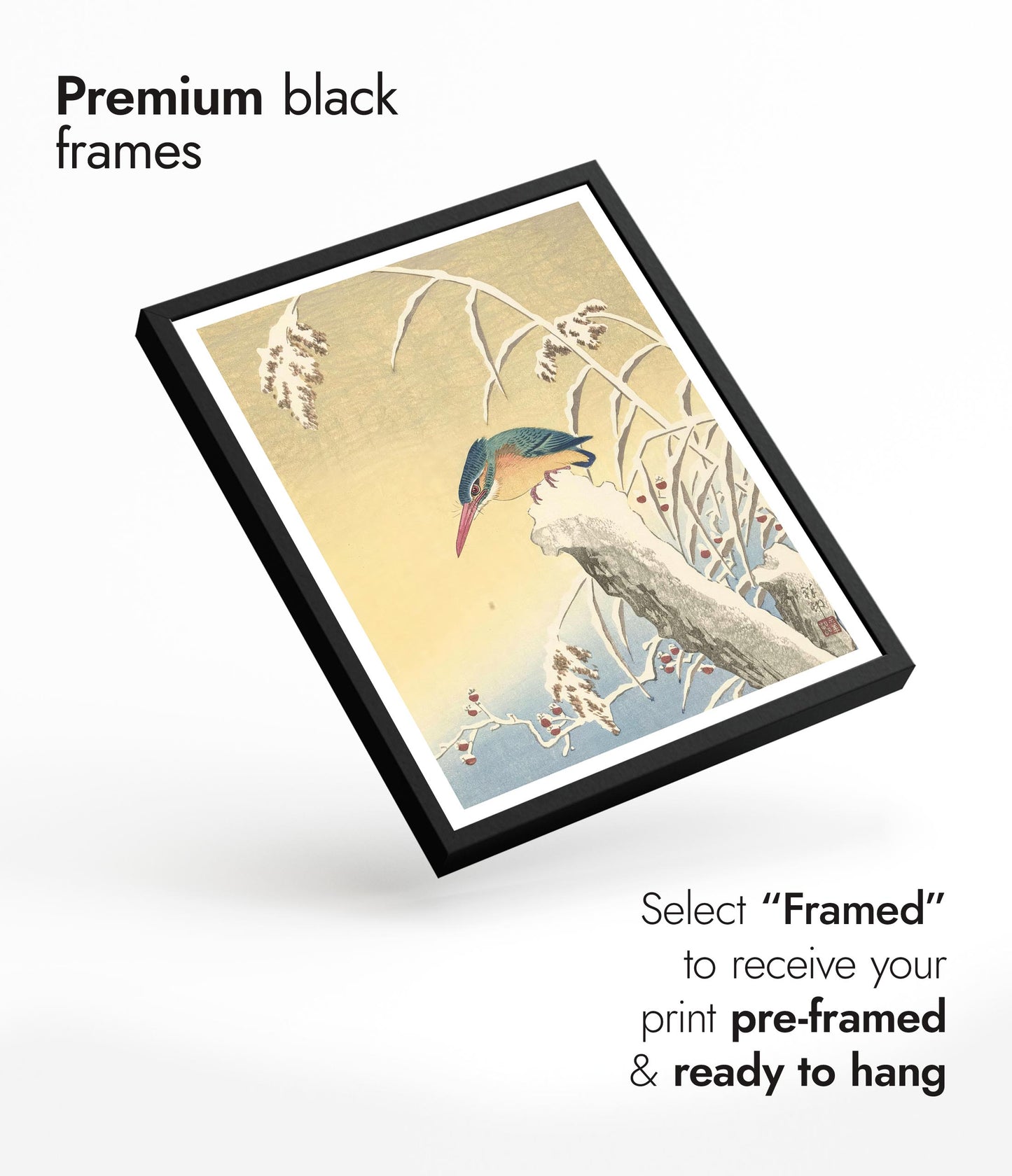 Kungsfiskare i snön