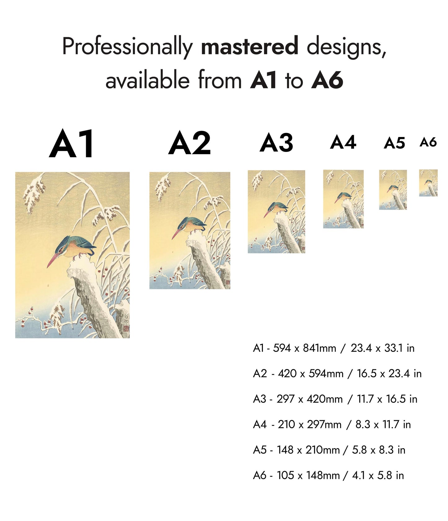 Kungsfiskare i snön